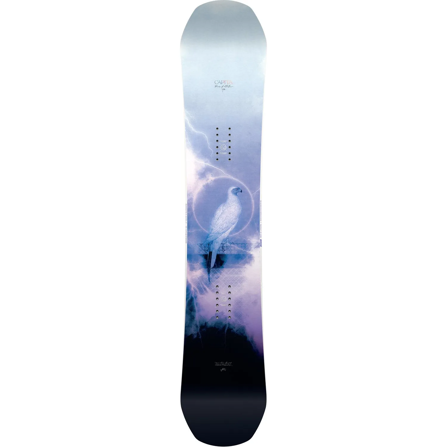 Birds of a Feather Snowboard 2024