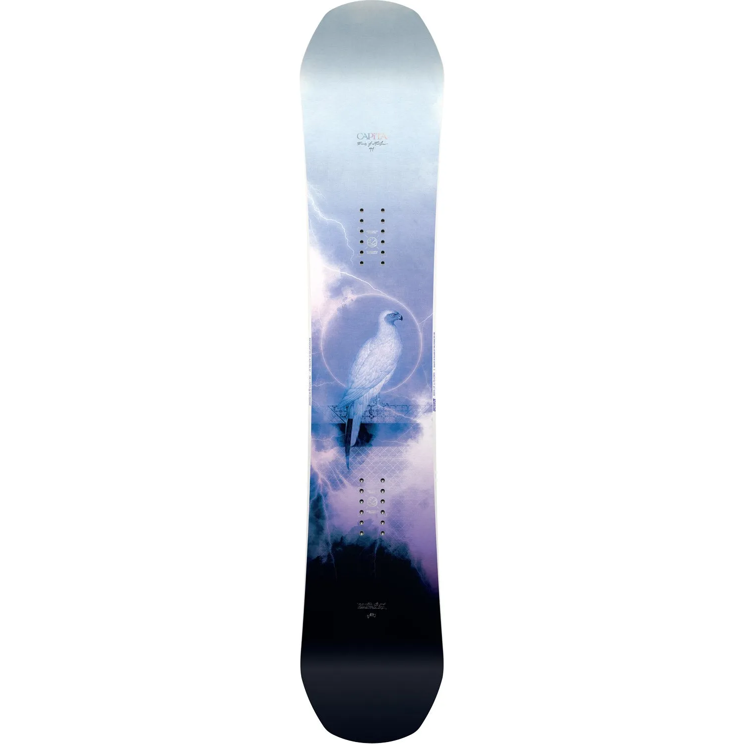 Birds of a Feather Snowboard 2024