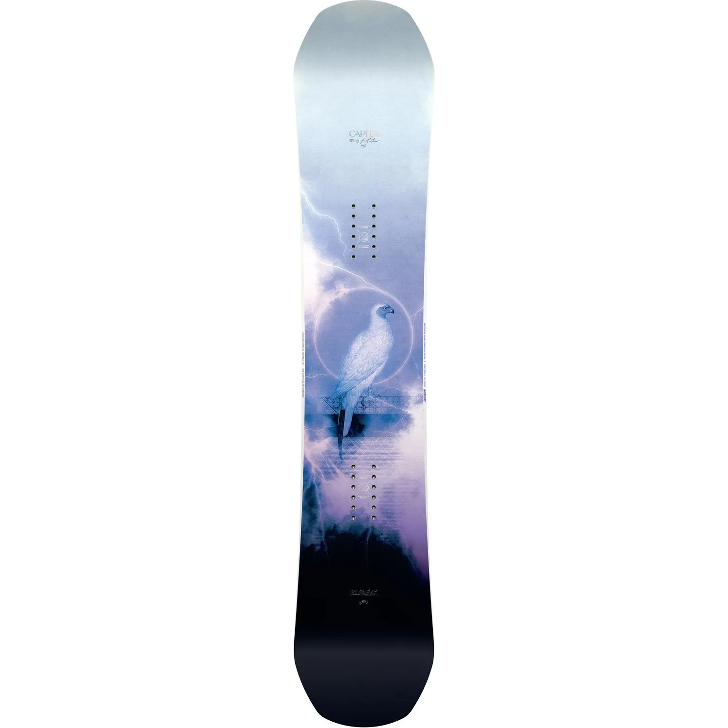 Birds of a Feather Snowboard 2024