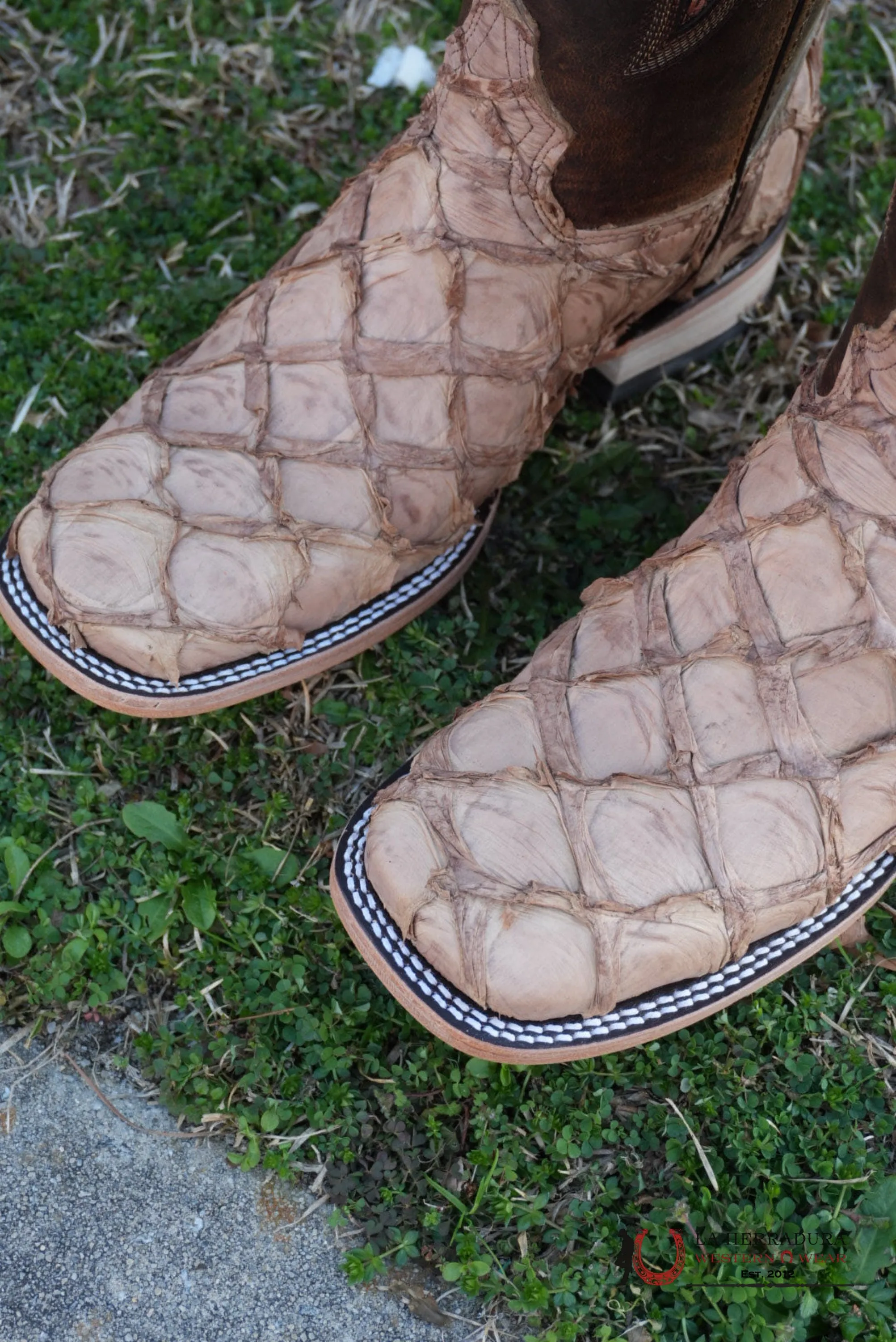 Hometown Pescado Orix Matte Square Toe Boots