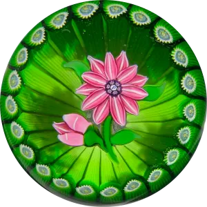 Perthshire Paperweights 1978F Flamework Pink Clematis in Green Stave Basket
