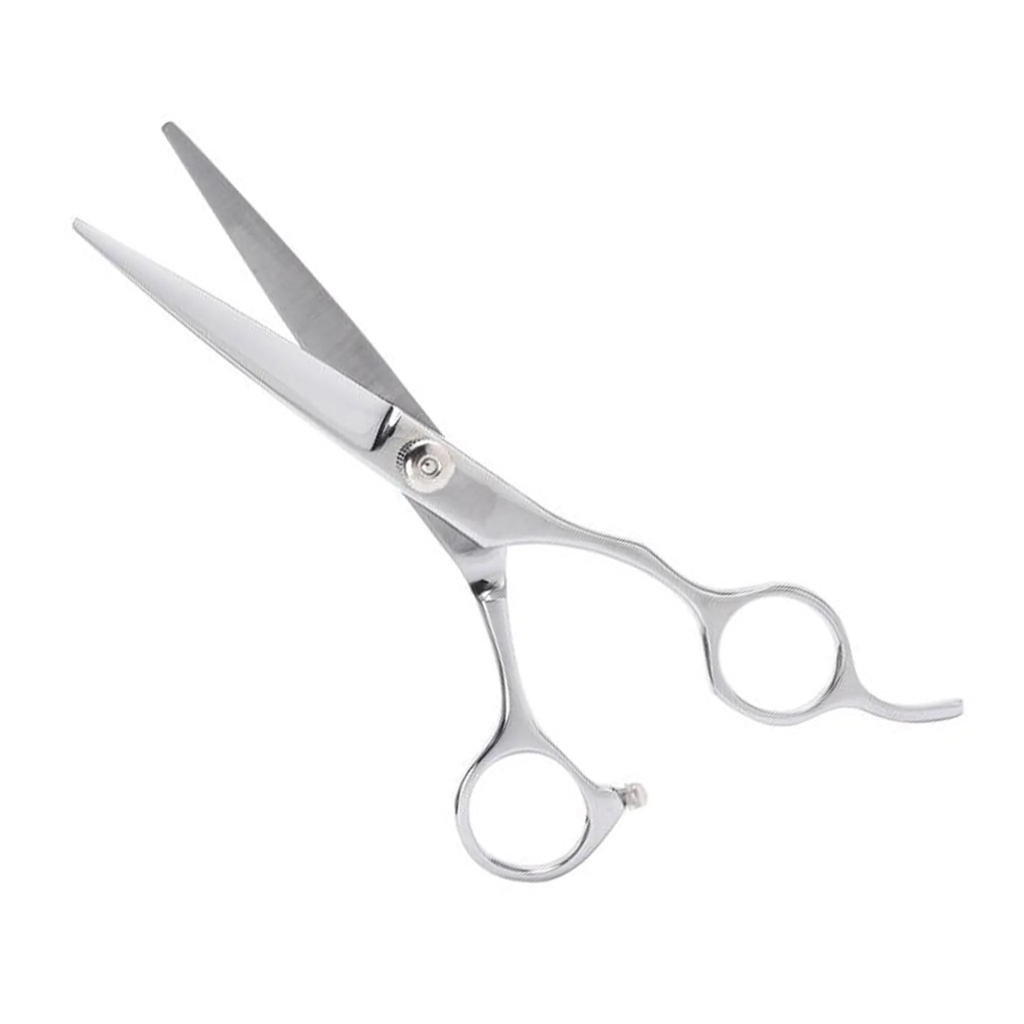 Professional Japan 420A 6-Pcs Shears Set