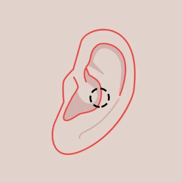 Snug Piercing in Midtown Toronto