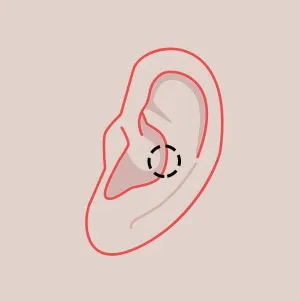 Snug Piercing in Midtown Toronto