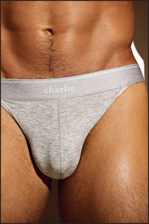 Sport Brief