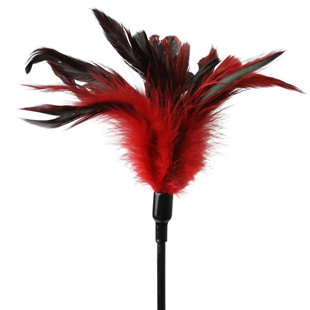 Sportsheets S&M Feather Slapper