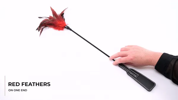 Sportsheets S&M Feather Slapper
